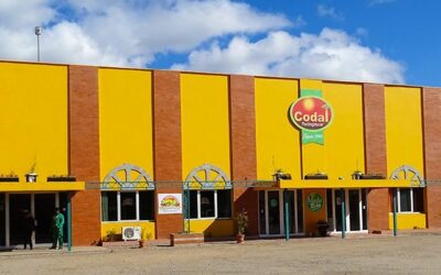 Codal e-Tsena