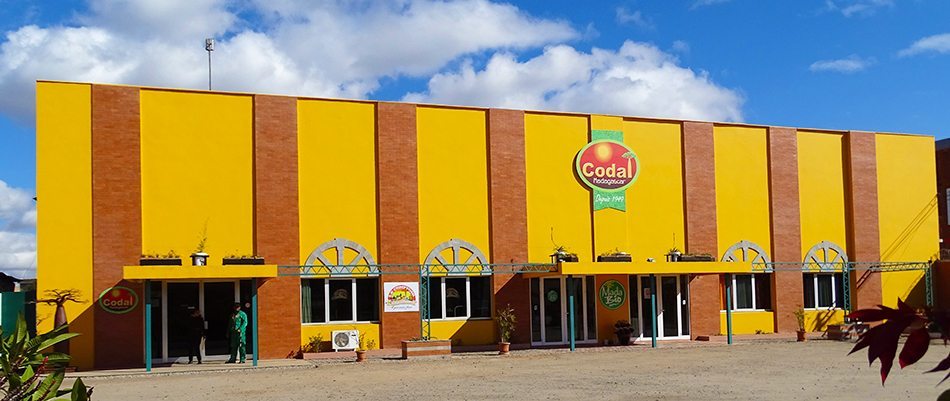 Codal e-Tsena