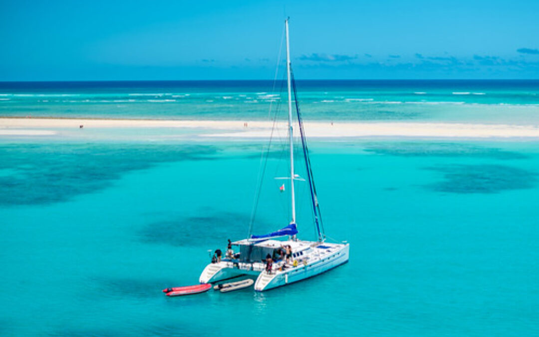 Dive Turquoise