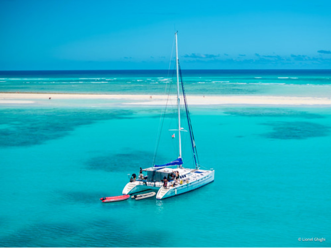 Dive Turquoise