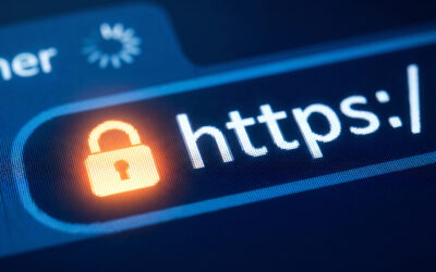 Nom de domaine .mg : pourquoi choisir une adresse web malgache avec Netykom ?